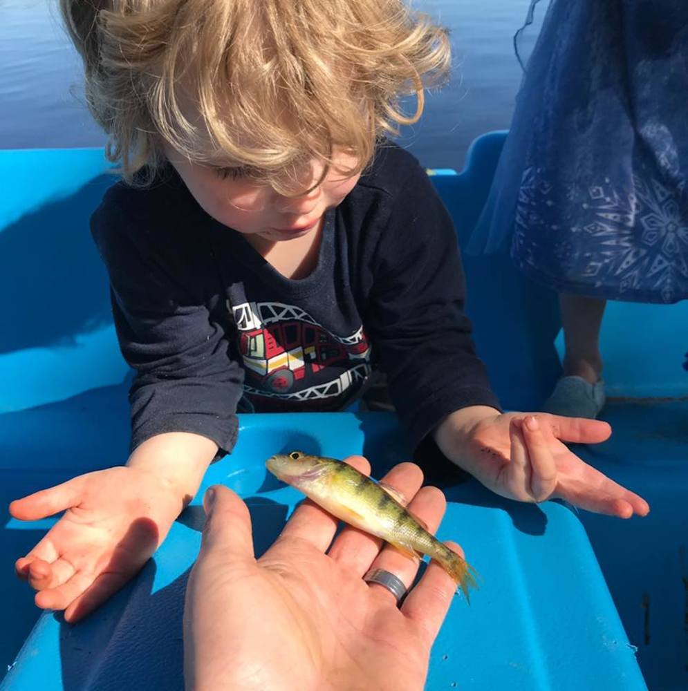 Meet your Posher, Azure